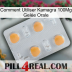 Comment Utiliser Kamagra 100Mg Gelée Orale 24